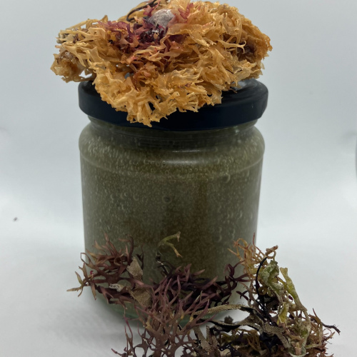 Irish Sea Moss Gel Jar - Original  
